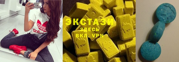 МДПВ Бородино