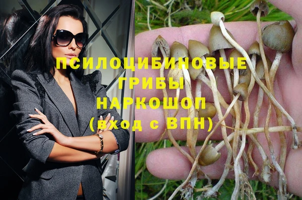 ГАЛЛЮЦИНОГЕННЫЕ ГРИБЫ Бронницы