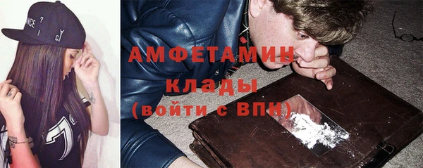 МДПВ Бородино