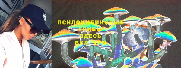 МДПВ Бородино