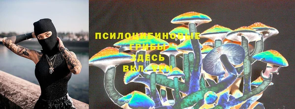 spice Усинск