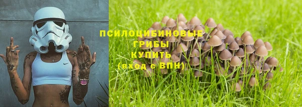 МДПВ Бородино
