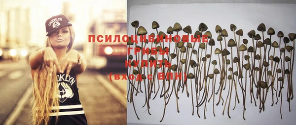 ГАЛЛЮЦИНОГЕННЫЕ ГРИБЫ Бронницы