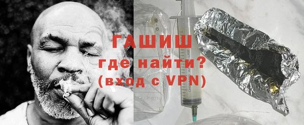 МДПВ Бородино