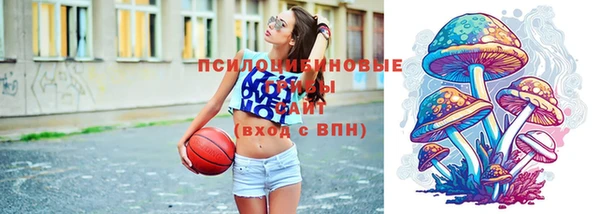 индика Верхнеуральск