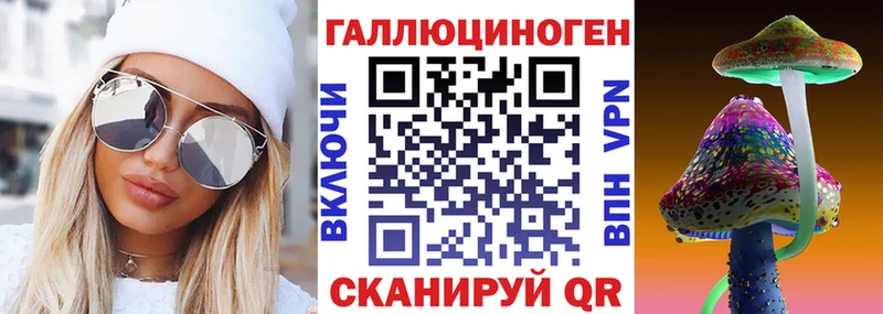 ОМГ ОМГ как войти  Десногорск  Галлюциногенные грибы мицелий 